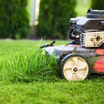 LAWN CARE SERVICE